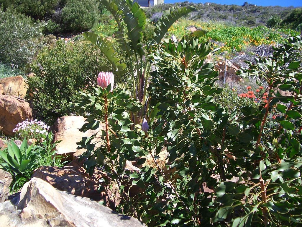 A Place In Thyme Fish Hoek Esterno foto